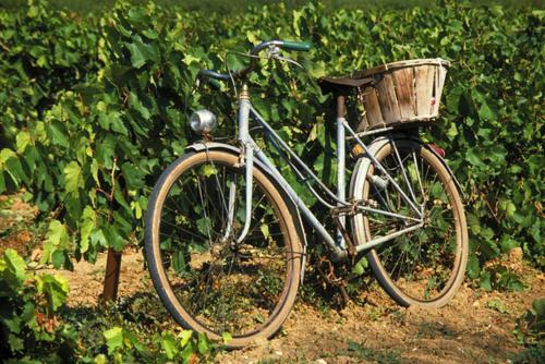 La Maison Grenadine Pres Du Canal Du Midi Tourouzelle Экстерьер фото